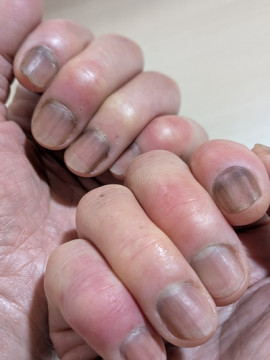 はるちゃんの12/12 (金) 14:38のブログ