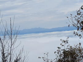 はるちゃんの10/20 (月) 20:55のブログ
