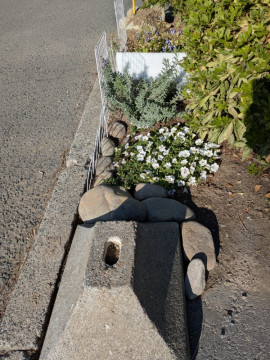 はるちゃんの10/30 (木) 10:58のブログ