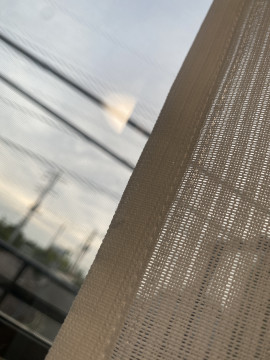 翡翠ちゃんの2025/10/3 (金) 17:03のブログ