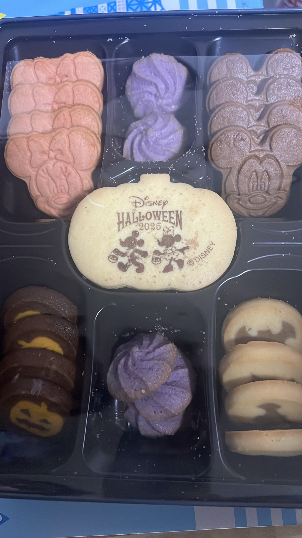 修学旅行から弟が帰ってきたのだ!