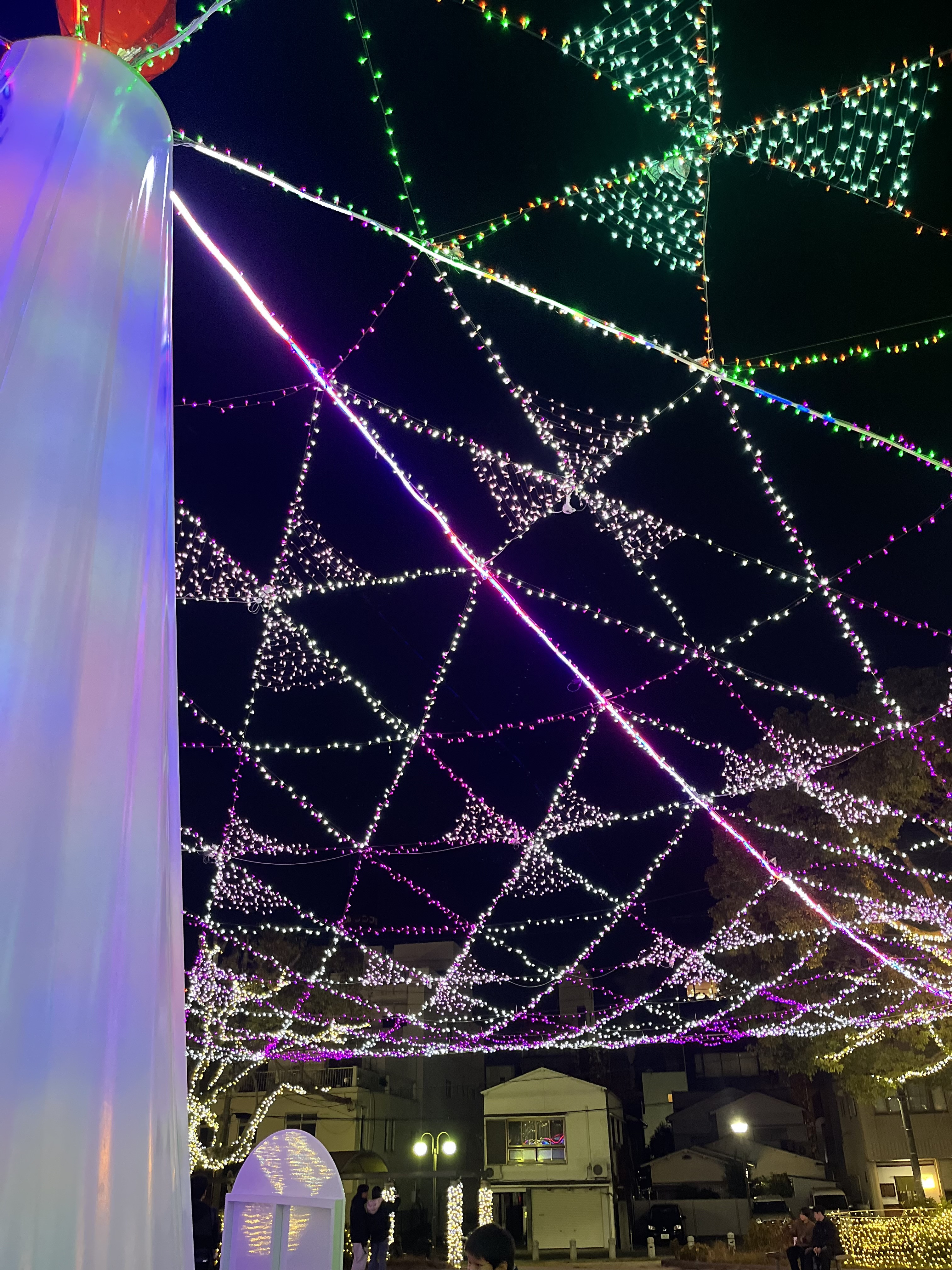 お久しぶりです！