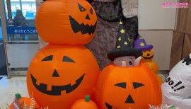 チカちゃんの10/10 (金) 05:58のブログ