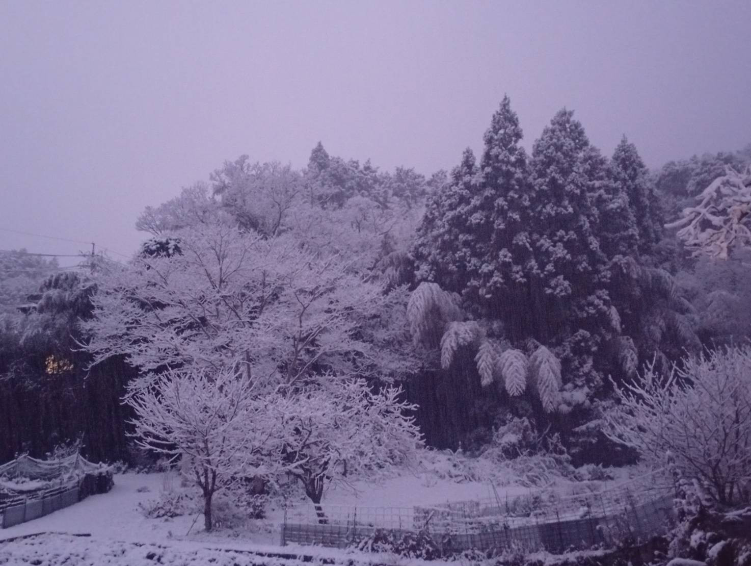 今日は少し温かい〜