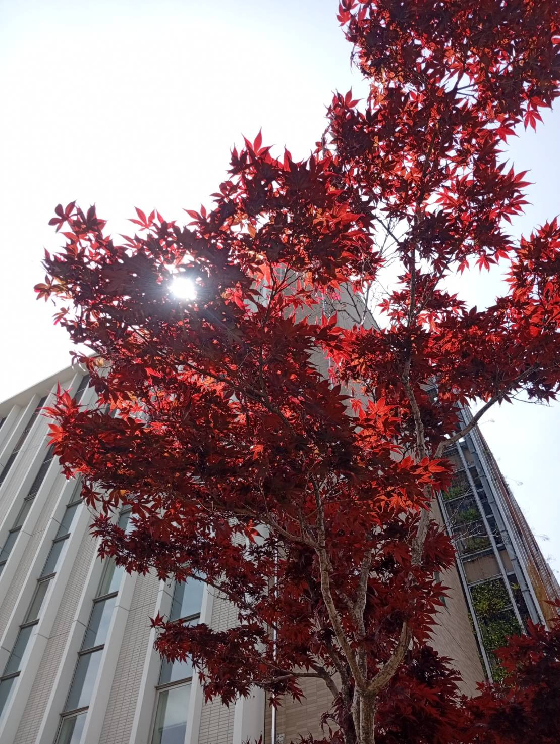 定期受診と断捨離