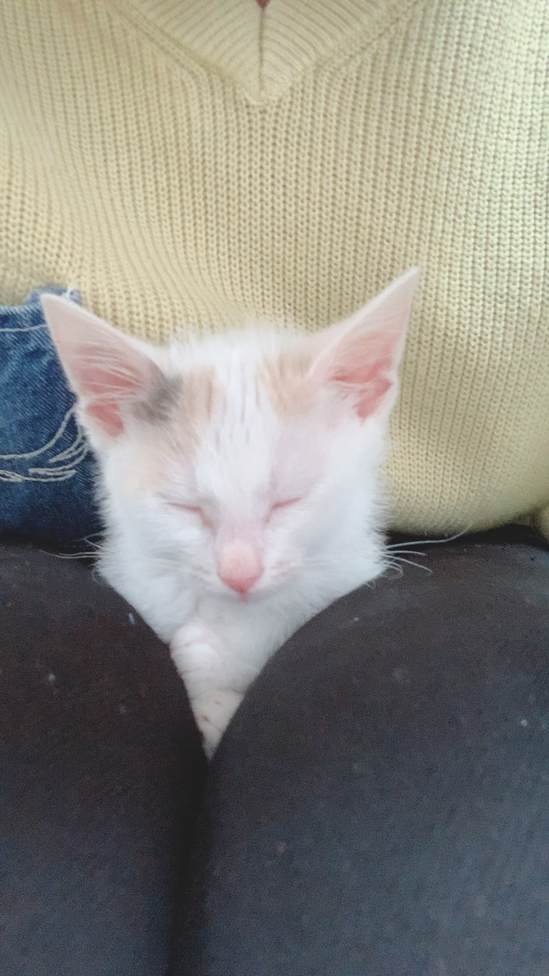 【リクエストにお応えして】初投稿！！