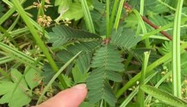 Yuki☆ちゃんの10/8 (水) 20:53のブログ