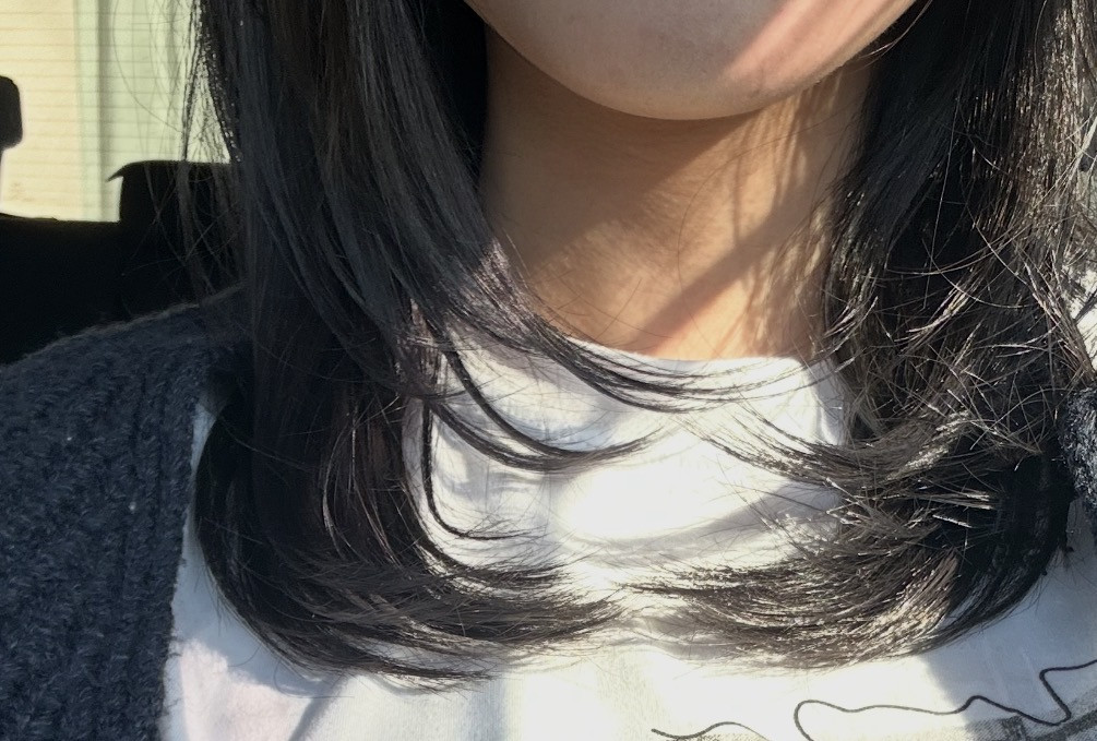 髪切って染めたよ♪