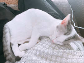 ゆきちゃんの11/23 (日) 22:02のブログ