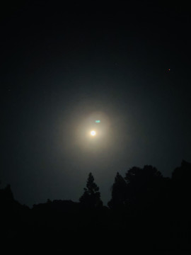 せいちゃんの11/7 (金) 16:37のブログ