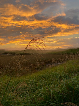 Sayaちゃんの10/22 (水) 09:37のブログ