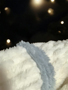 mikoちゃんの11/18 (火) 00:33のブログ