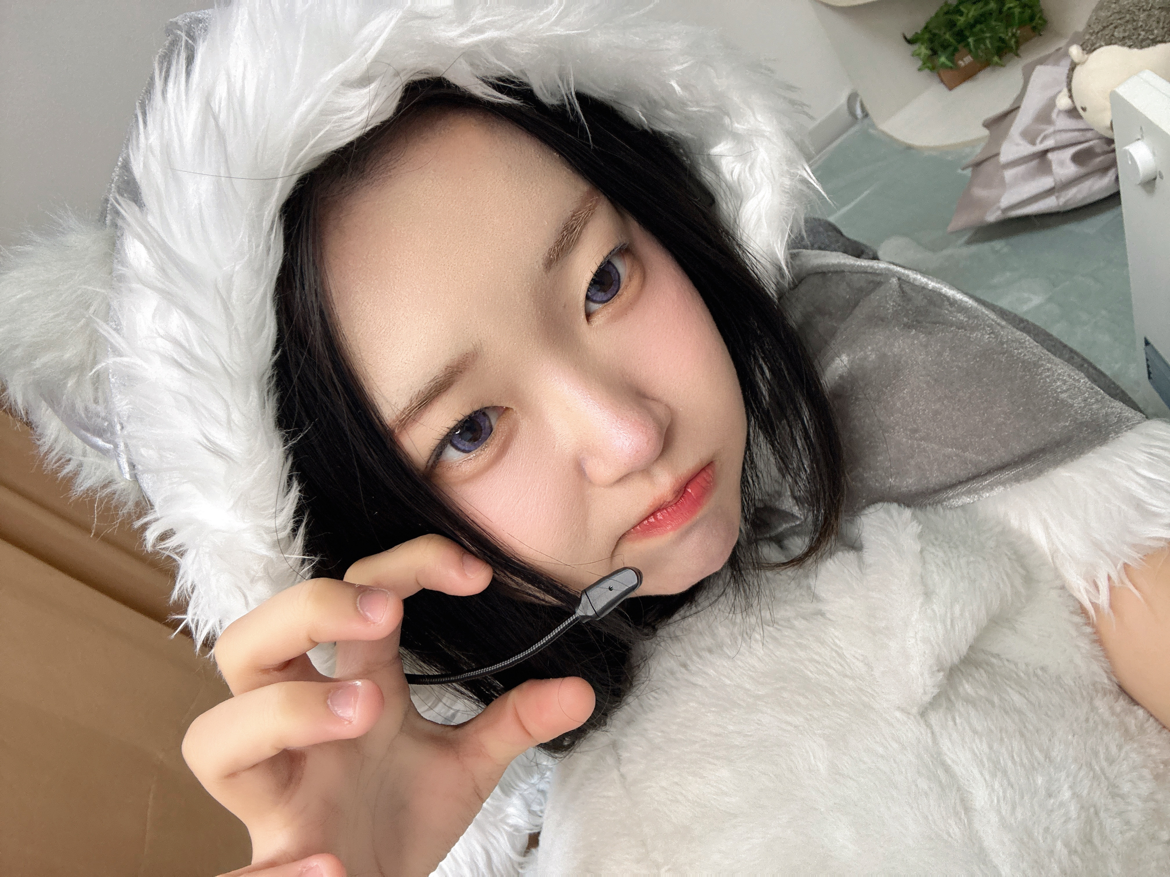 ウルフサンタがクリスマスをお届け?