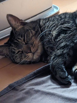 みぃ♡ちゃんの2025/10/25 (土) 01:44のブログ