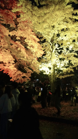 + れな +ちゃんの11/18 (火) 12:49のブログ