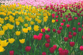 Risakoちゃんの2025/10/28 (火) 00:21のブログ