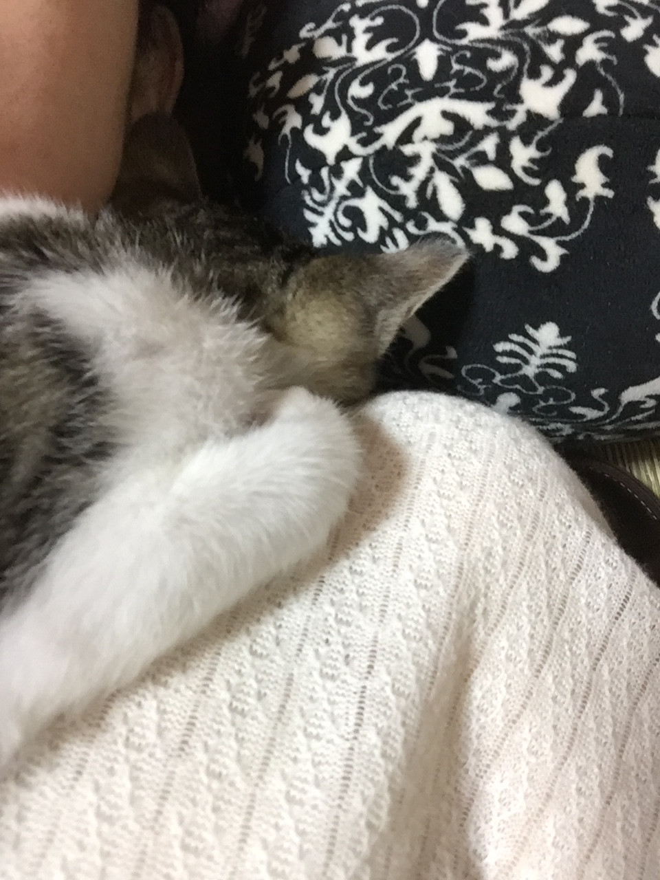 お休みだったのですが