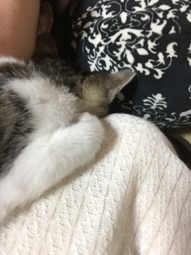 みおちゃんの11/21 (金) 23:22のブログ