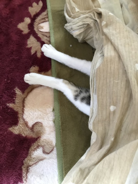 みおちゃんの11/2 (日) 23:50のブログ