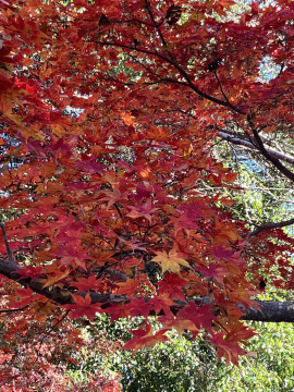 みおちゃんの11/24 (月) 23:24のブログ