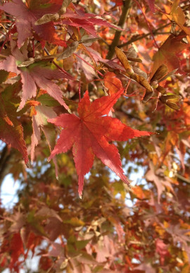 みおちゃんの10/30 (木) 00:20のブログ