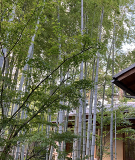 みおちゃんの11/3 (月) 23:37のブログ