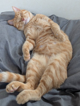 ゆーりちゃんの10/30 (木) 22:40のブログ