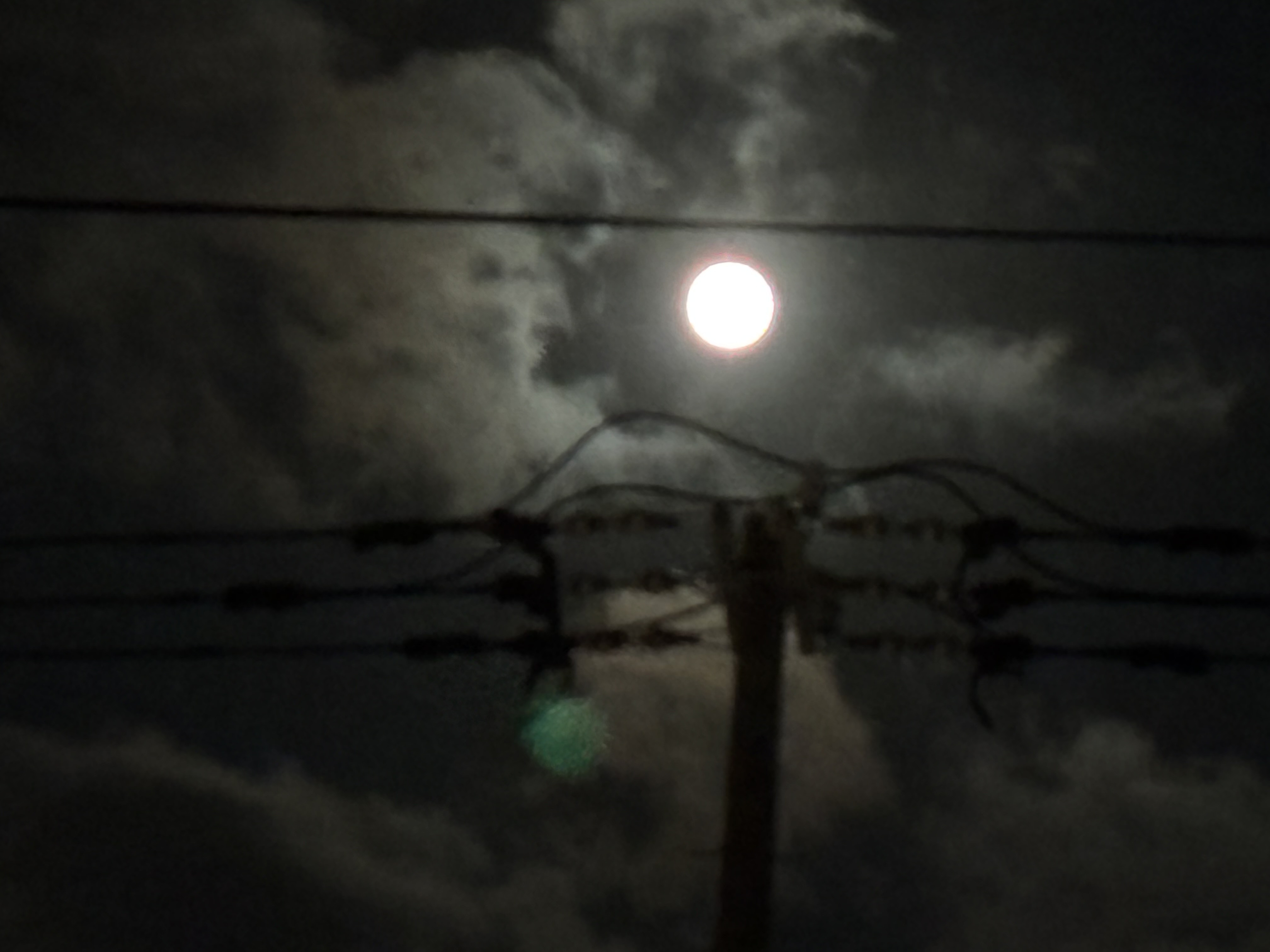 見れたよ(о´∀`о)