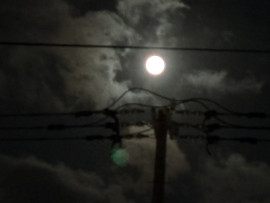 見れたよ(о´∀`о)