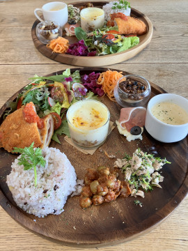 のんちゃんの2025/11/2 (日) 12:15のブログ