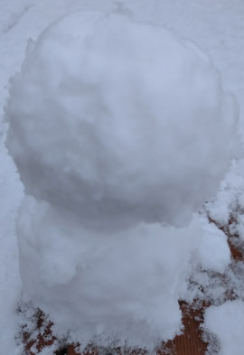 しゅな。ちゃんの2/13 (金) 15:26のブログ