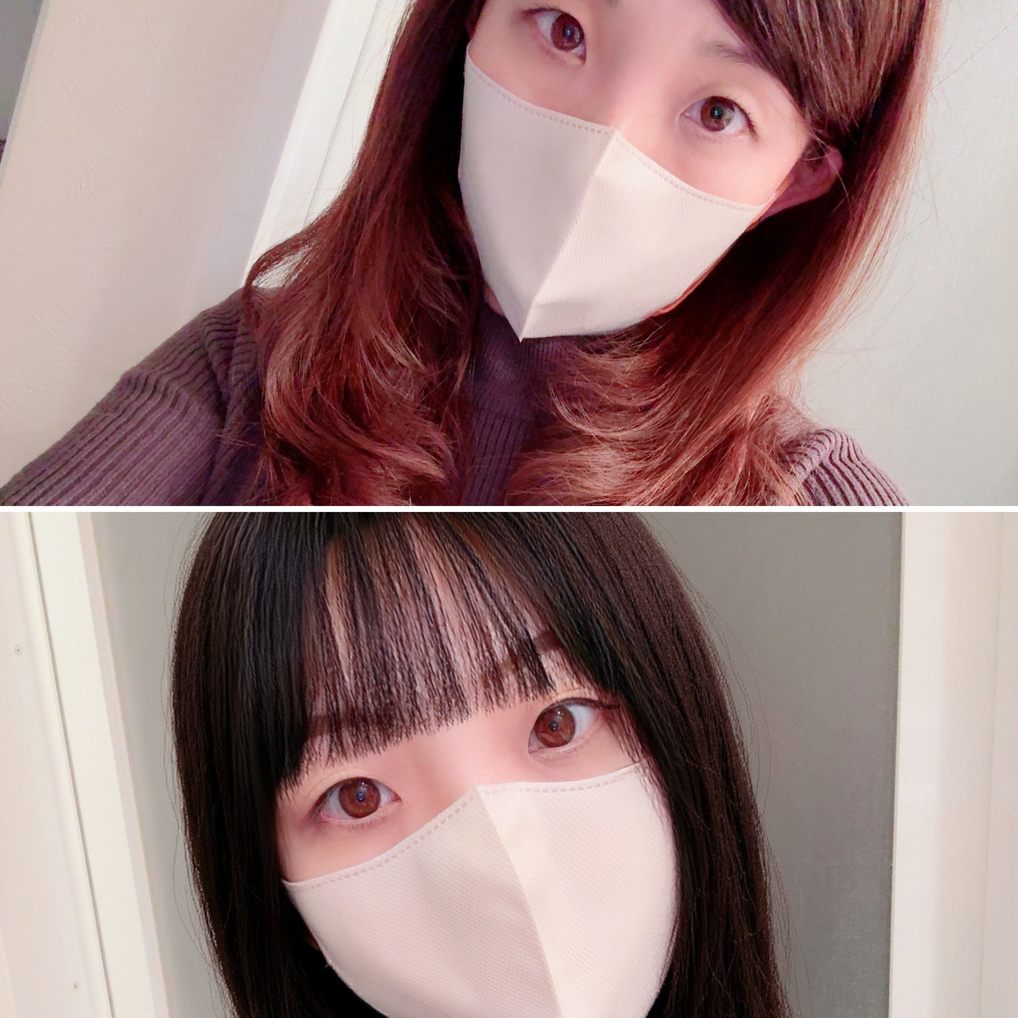 どっちが好き？