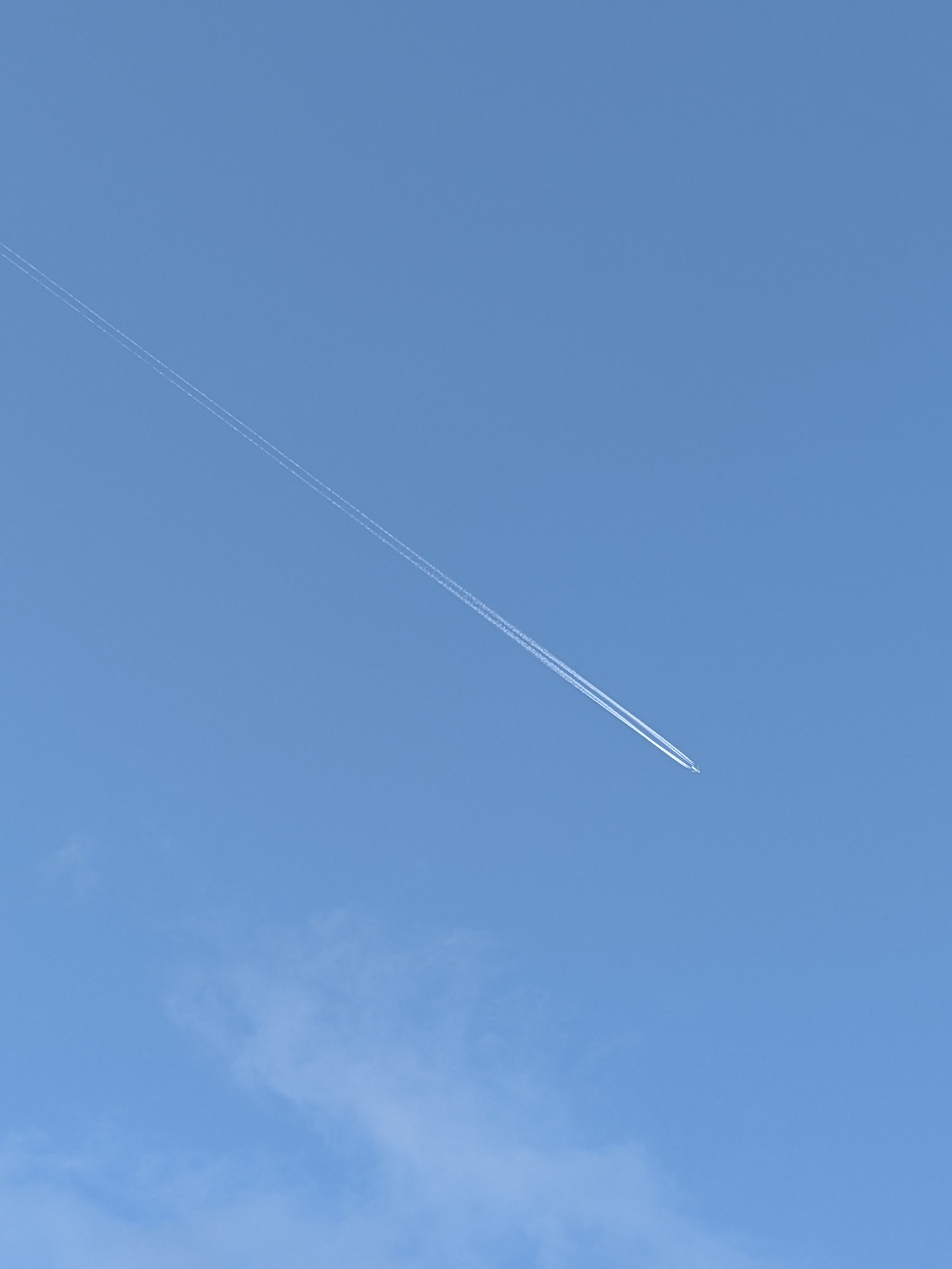 おはようございます