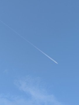 ナナちゃんの11/29 (土) 07:54のブログ