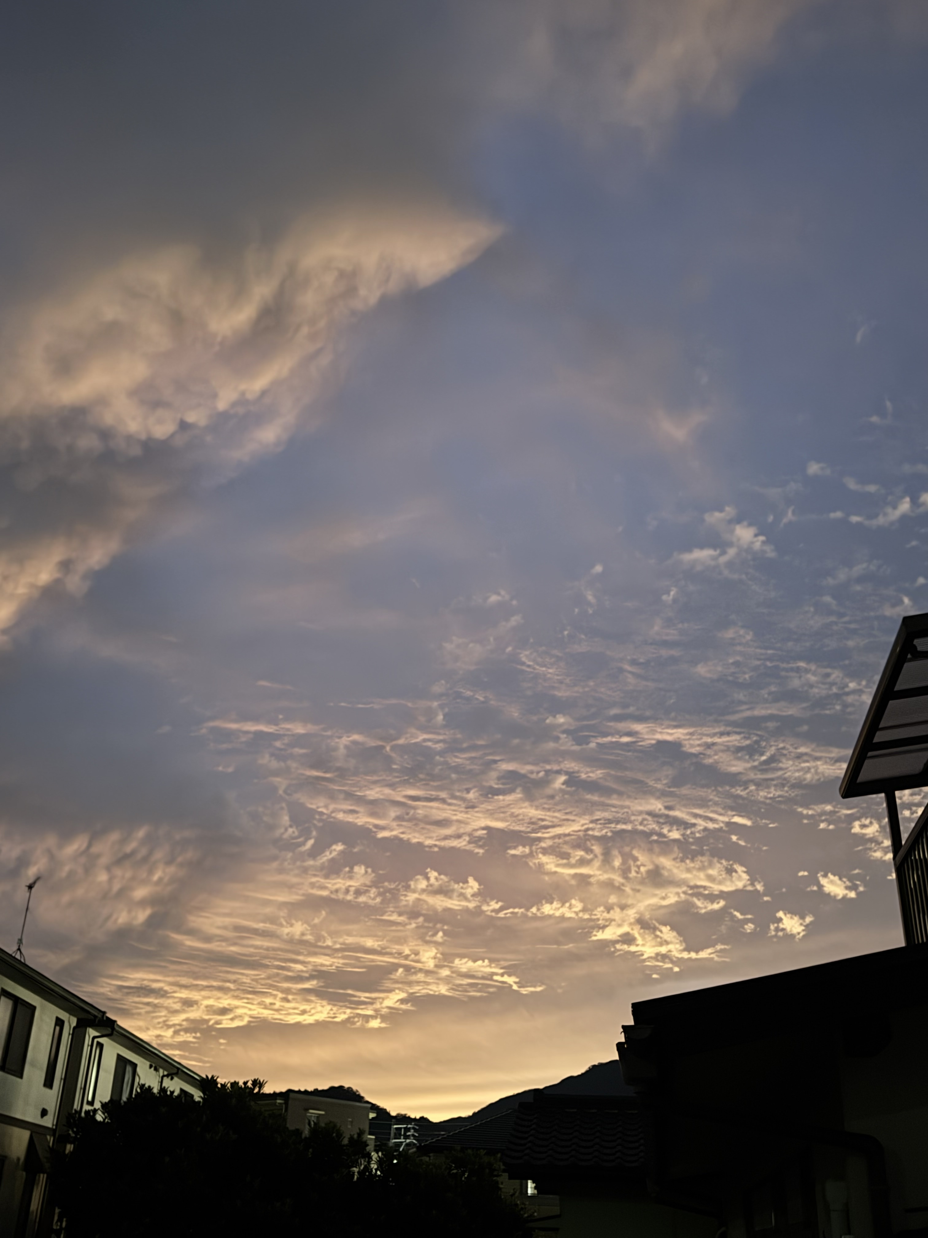 はじめまして??