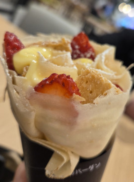 ぽんちゃんの12/9 (火) 17:38のブログ