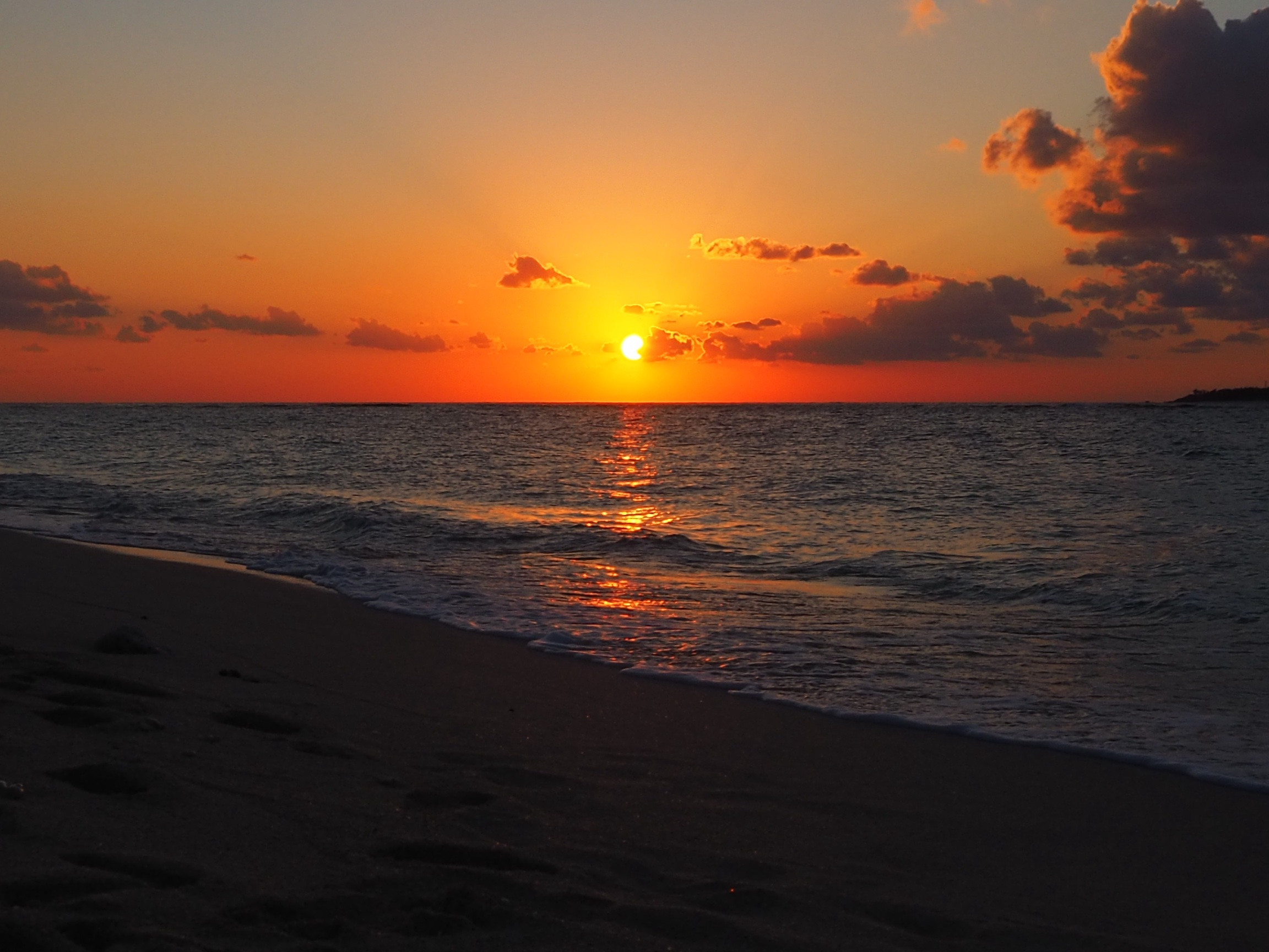 いまさらですが自己紹介を…