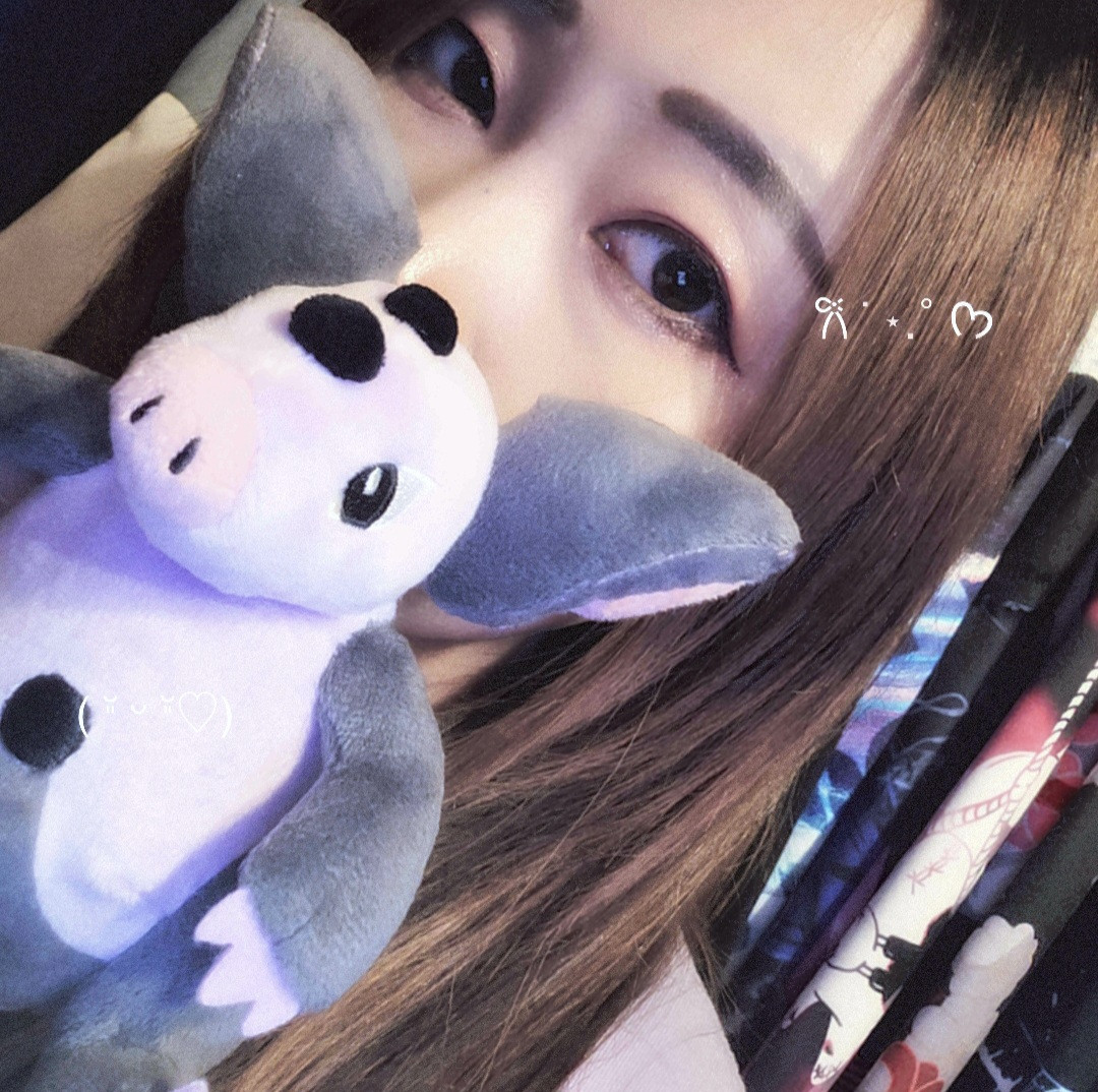 今日はお休みします