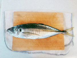 ちなちゃんの11/24 (月) 19:39のブログ