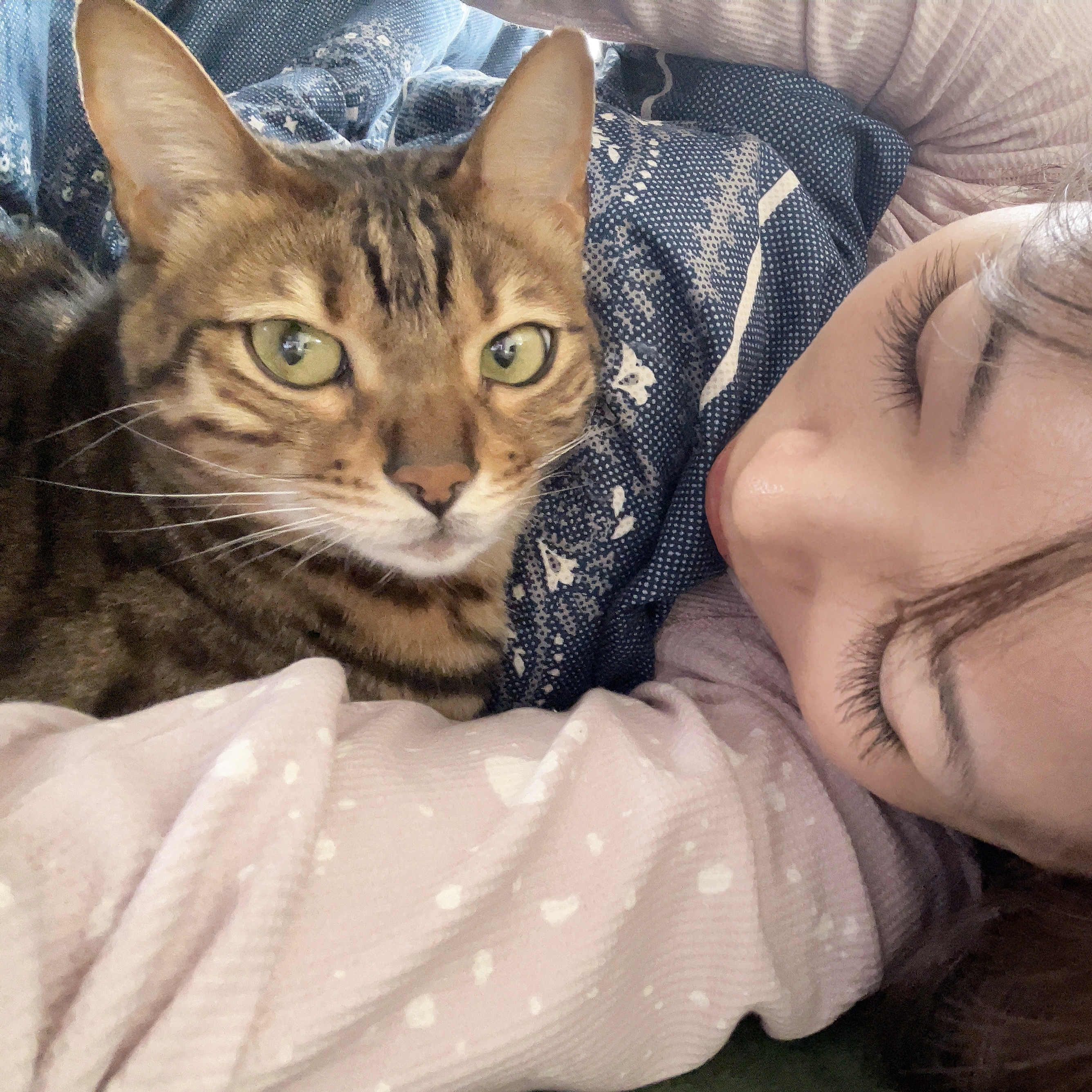 ルックバックを観たよ?