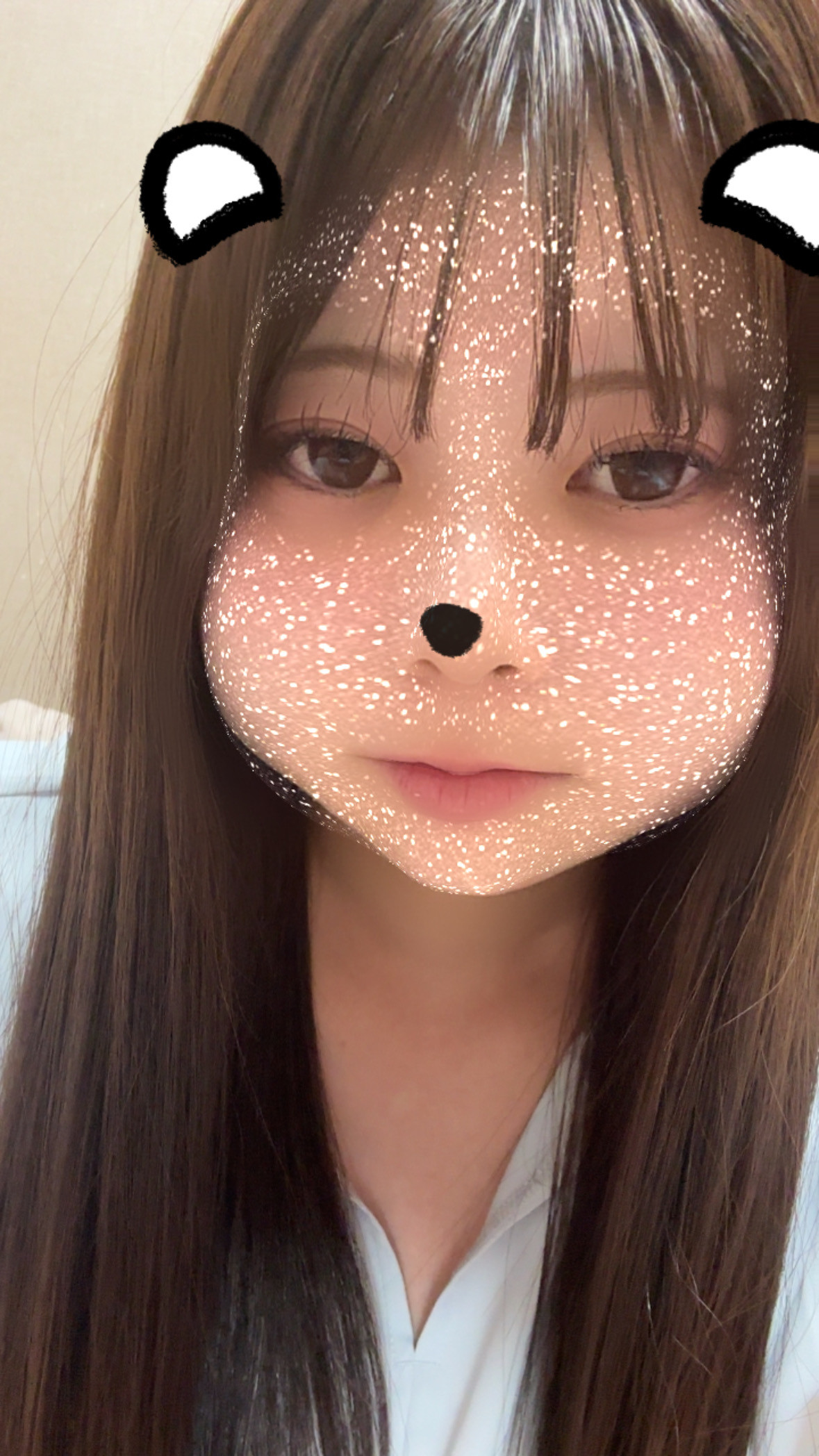 はじめまして???