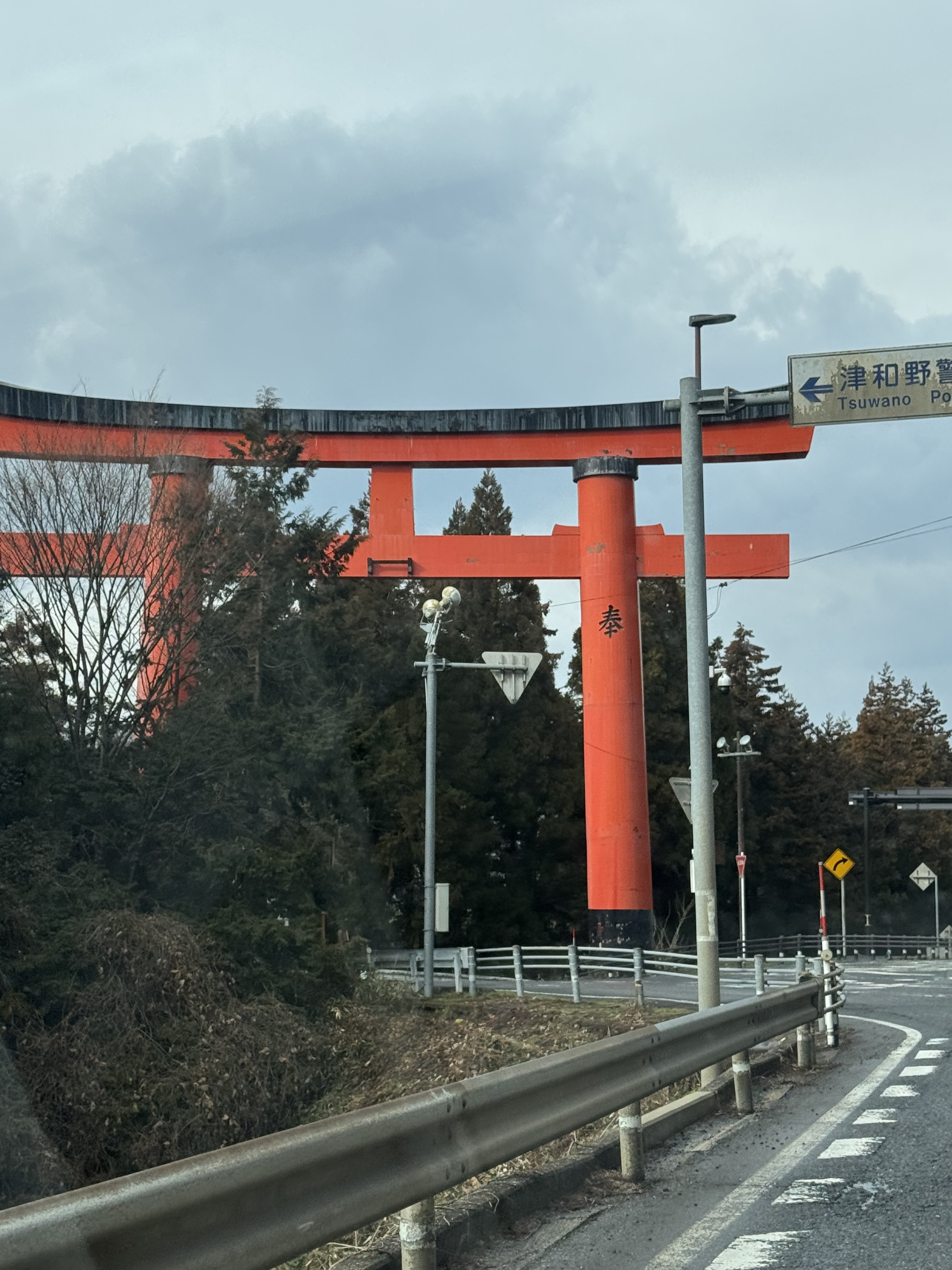 今日は少しはやめ！