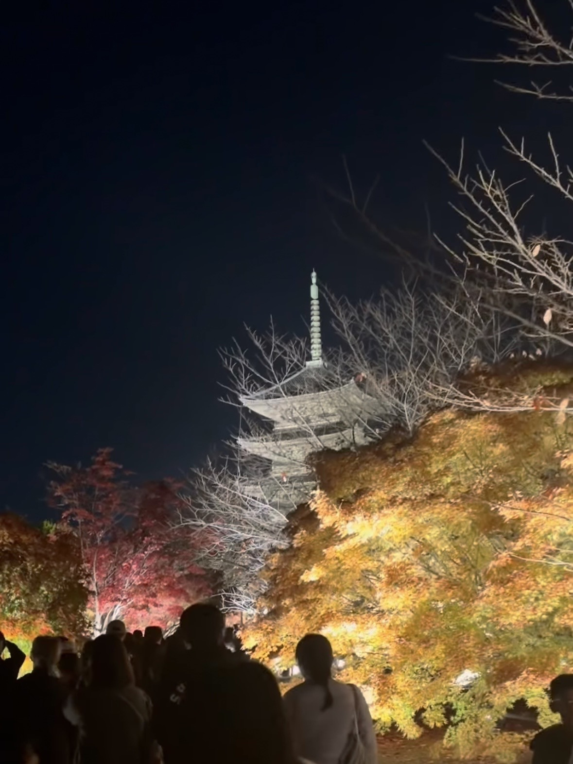 明けましておめでとうございます?