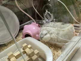 ひまわりちゃんの12/14 (日) 22:15のブログ