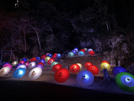 ひまわりちゃんの今日 18:50のブログ