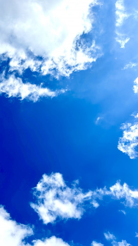 ひまわりちゃんの今日 01:52のブログ