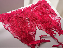 蘭ちゃんちゃんの2025/12/24 (水) 13:06のブログ