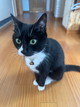 はっぱちゃんちゃんの12/9 (火) 00:08のブログ