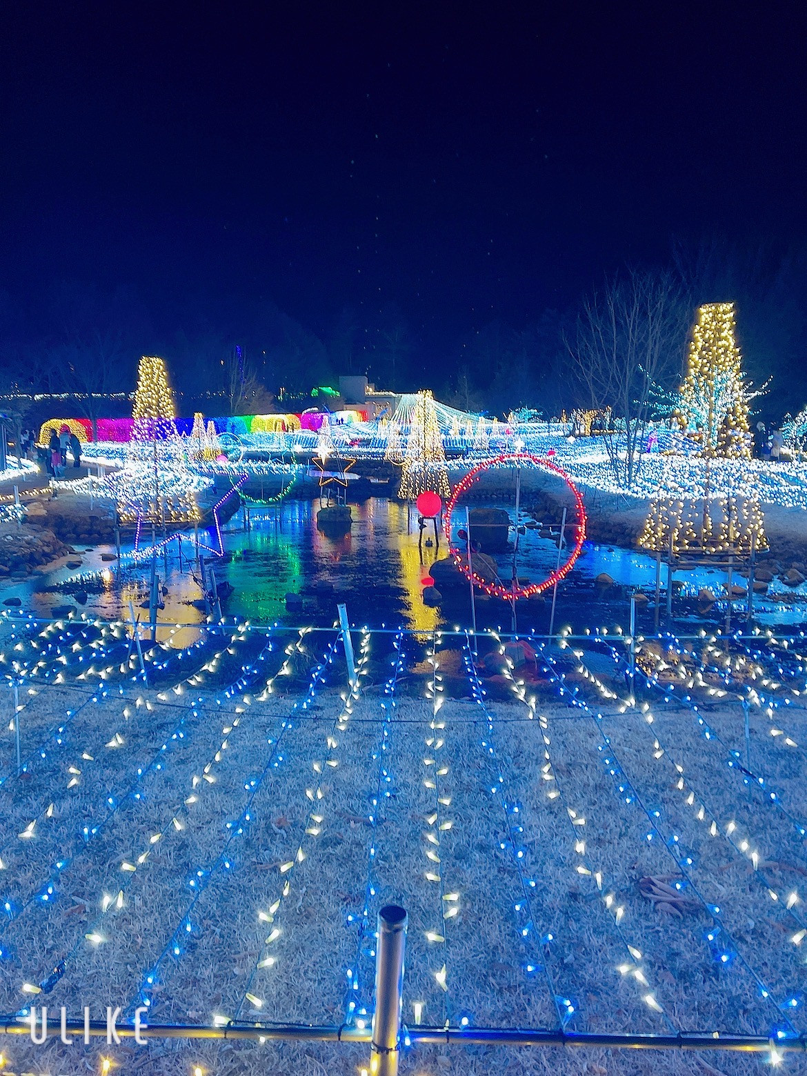 イルミネーション！