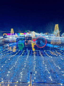 イルミネーション！